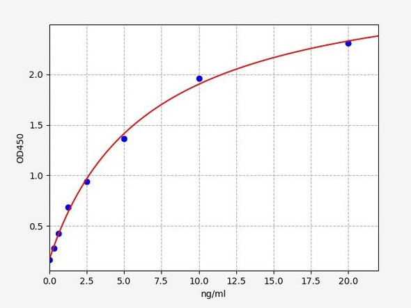 Rat IKBKB / IKK beta ELISA Kit