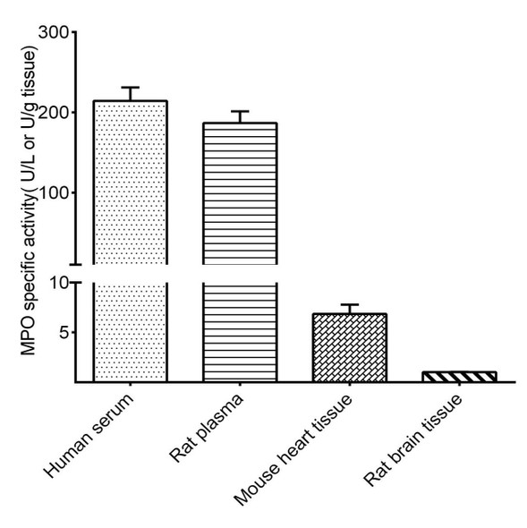 Myeloperoxidase (MPO) Activity Assay Kit (MAES0076)