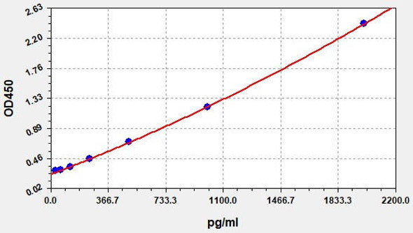 Rabbit CTX-II (Cross Linked C-telopeptide of Type II Collagen) ELISA Kit (AEFI00833)