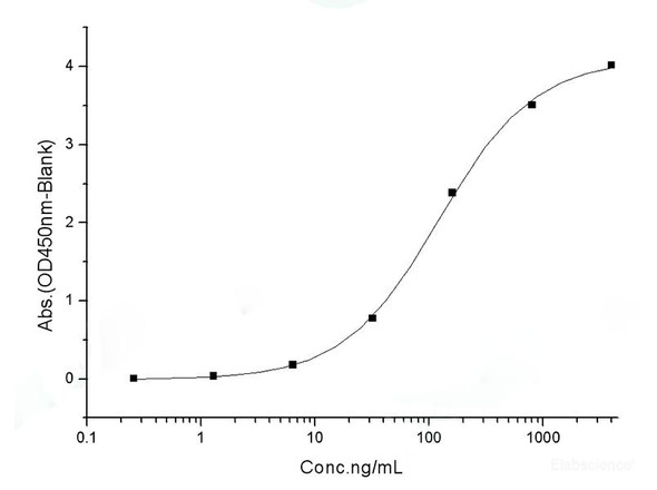 Recombinant SARS-CoV-2 Spike S1(D614G),ECD (Fc Tag) (RPES7121)