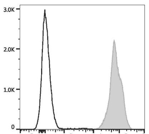 PE Anti-Mouse H-2 Antibody [M1/42] (AGEL2419)