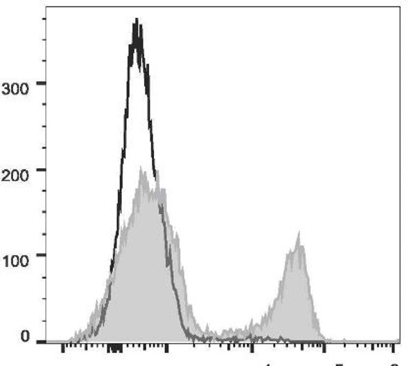 PE Anti-Rat CD3 Antibody [G4.18] (AGEL2455)