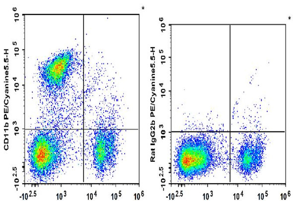PE/Cyanine5.5 Anti-Mouse/Human CD11b Antibody [M1/70] (AGEL2169)