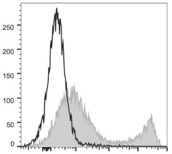 PerCP/Cyanine5.5 Anti-Mouse CD90.2 Antibody [30H12] (AGEL2187)