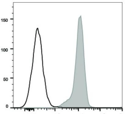 APC Anti-Human CD80 Antibody [2D10] (AGEL2470)