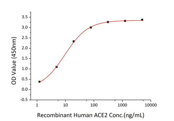 Recombinant SARS-CoV-2 Spike RBD Protein (CARP01258)