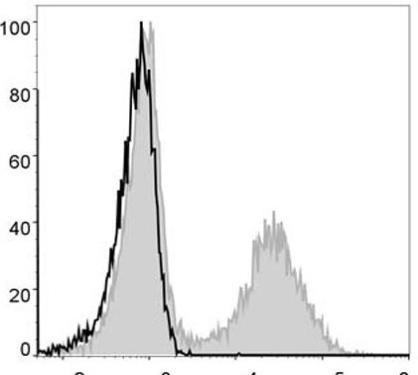 GenieFluor 488 Anti-Mouse MHC II (I-A/I-E) Antibody [M5/114] (AGEL0025)