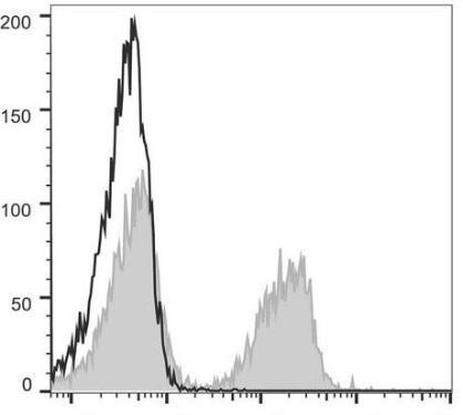 PE Anti-Mouse CD3 Antibody [17A2] (AGEL0099)