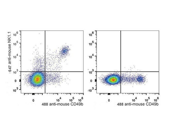 GenieFluor 647 Anti-Mouse CD161/NK1.1 Antibody [PK136] (AGEL0493)
