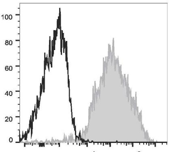 PE/Cyanine7 Anti-Mouse F4/80 Antibody [CI:A3-1] (AGEL0562)