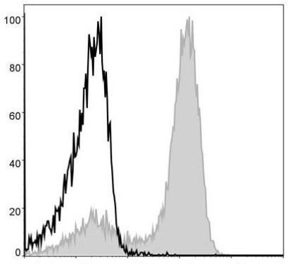 APC Anti-Mouse/Human CD11b Antibody [M1/70] (AGEL1106)