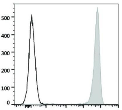 PE/Cyanine7 Anti-Human CD41 Antibody [HIP8] (AGEL1135)