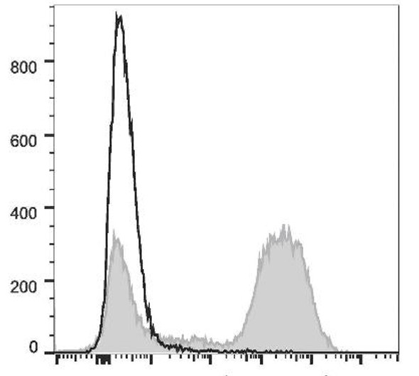 PE/Cyanine7 Anti-Mouse CD90.2 Antibody [30H12] (AGEL1217)