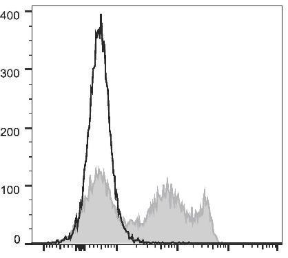 FITC Anti-Rat CD8a Antibody [OX-8] (AGEL1255)