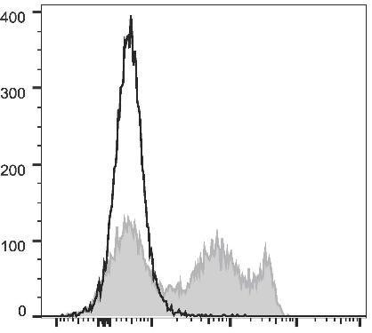 FITC Anti-Rat CD8a Antibody [OX-8] (AGEL1264)