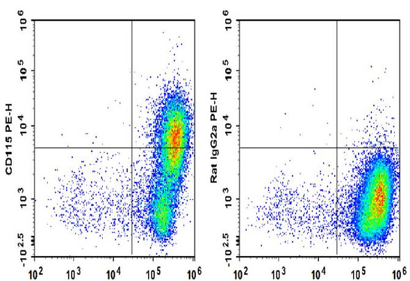 PE Anti-Mouse CD115 Antibody [AFS98] (AGEL1366)