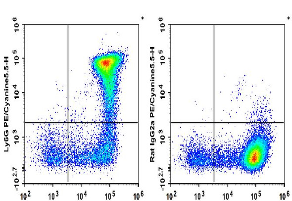 PE/Cyanine5.5 Anti-Mouse Ly6G Antibody [1A8] (AGEL1381)