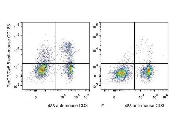 PerCP/Cyanine5.5 Anti-Mouse CD183/CXCR3 Antibody [CXCR3-173] (AGEL1434)