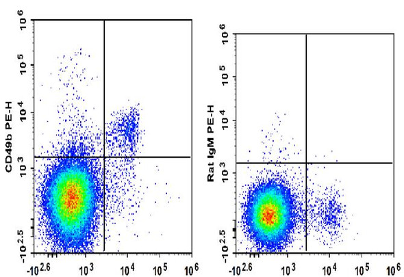 PE Anti-Mouse CD49b Antibody [DX5] (AGEL1446)
