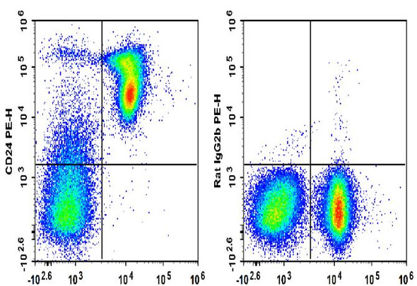 PE Anti-Mouse CD24 Antibody [M1/69] (AGEL1892)