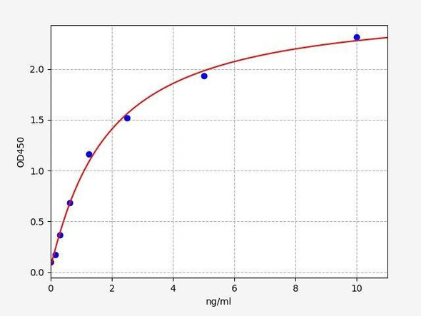 Human PAG608/ZMAT3 ELISA Kit (HUFI01497)