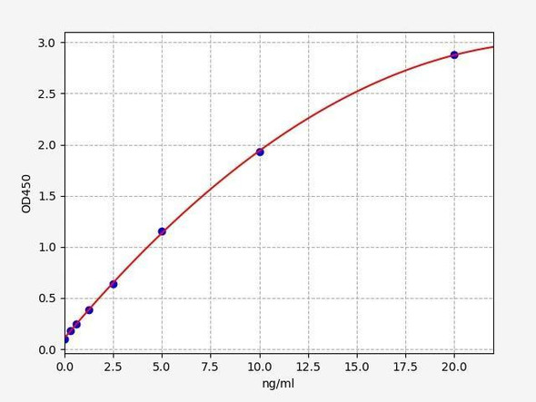 Human BIM/BCL2L11 ELISA Kit (HUFI02254)