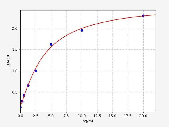 Human Galectin 8/GAL8 ELISA Kit (HUFI02486)