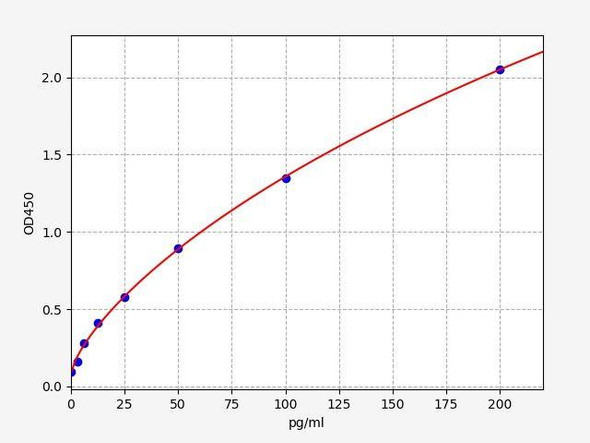 Rat CC16 (Clara Cell Protein) ELISA Kit (AEFI01162)