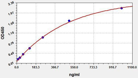 Rabbit ApoB48 (Apolipoprotein B48) ColorStep ELISA Kit (AEFI02141)