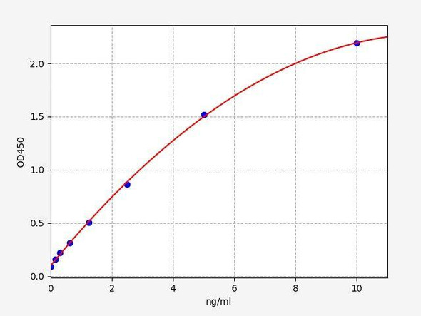 Human CK-BB (Creatine Kinase BB) ColorStep ELISA Kit (AEFI02192)