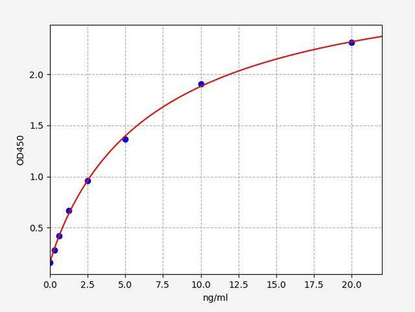 Human FOXP3 ColorStep ELISA Kit (AEFI02315)