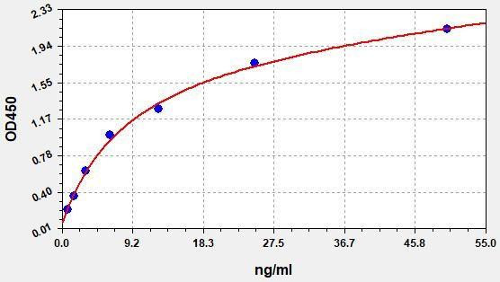 Human HPR (Haptoglobin-related protein) ColorStep ELISA Kit (AEFI02485)