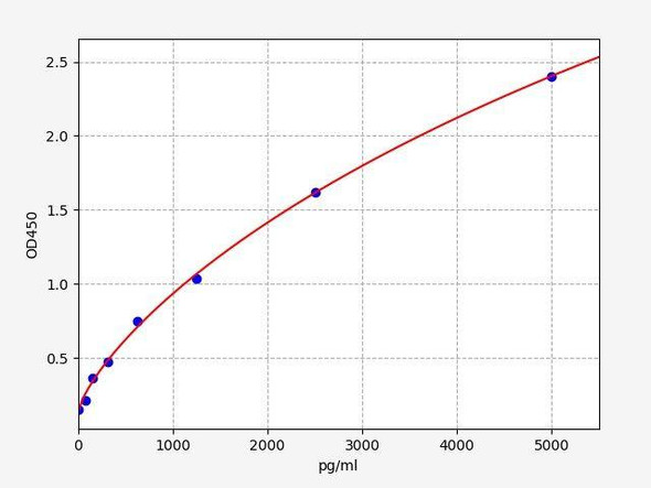 Human Caspase-2 ColorStep ELISA Kit (AEFI02600)