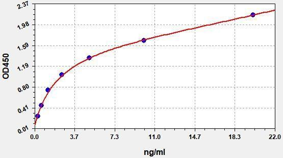 Human WNT4 ColorStep ELISA Kit (AEFI02658)