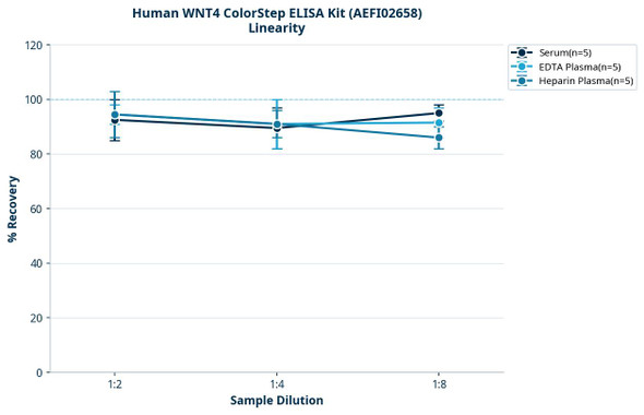 Human WNT4 ColorStep ELISA Kit (AEFI02658)