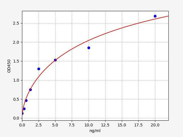 Rat EIF2AK2 ColorStep ELISA Kit (AEFI02783)