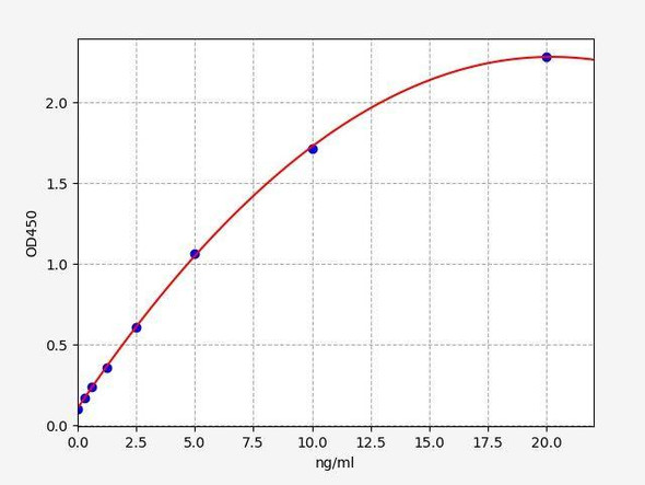 Rat PMAIP1 ColorStep ELISA Kit (AEFI02829)
