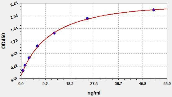 Human SEPP1 (Selenoprotein P) ColorStep ELISA Kit (AEFI03080)