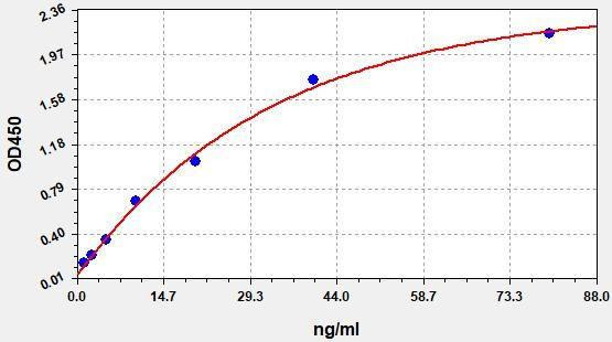 Human APOM (Apolipoprotein M) ColorStep ELISA Kit (AEFI03276)