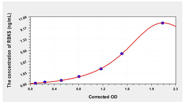 Human RBKS (Ribokinase) ELISA Kit (AEKE00042)