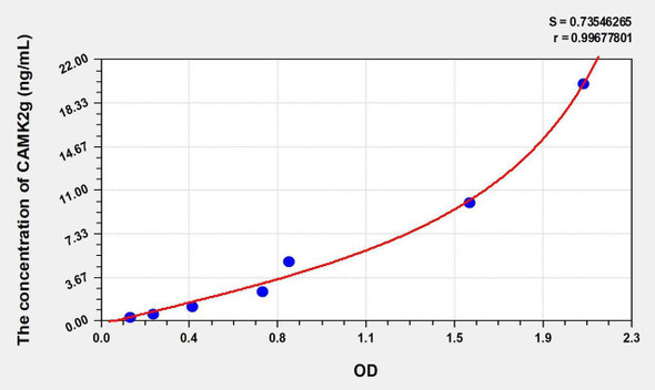 Rat CAMK2g (Calcium/Calmodulin Dependent Protein Kinase II Gamma) ELISA Kit (AEKE00376)
