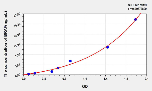 Human BRAF (B-Raf Proto Oncogene Serine/Threonine Protein Kinase) ELISA Kit (AEKE01050)