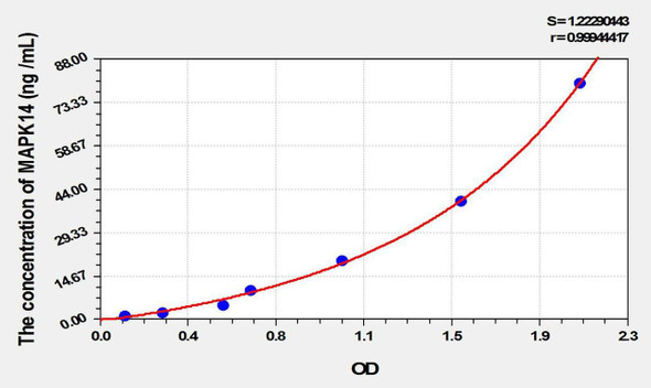 Rat MAPK14 (Mitogen Activated Protein Kinase 14) ELISA Kit (AEKE02126)