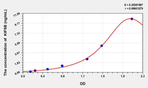 Rat KIF5B (Kinesin Family, Member 5B) ELISA Kit (AEKE02190)