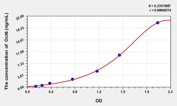 Human Oct6 (Octamer-binding transcription factor 6) ELISA Kit (AEKE02785)