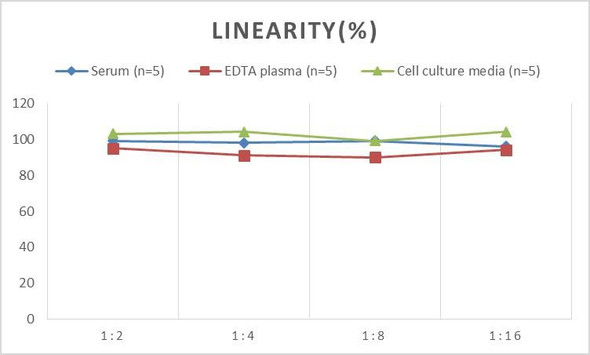 Porcine IL-6 (Interleukin 6) ELISA Kit (AEES00762)