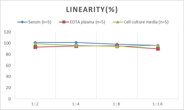Porcine GM-CSF (Granulocyte Macrophage Colony Stimulating Factor) ELISA Kit (AEES00770)