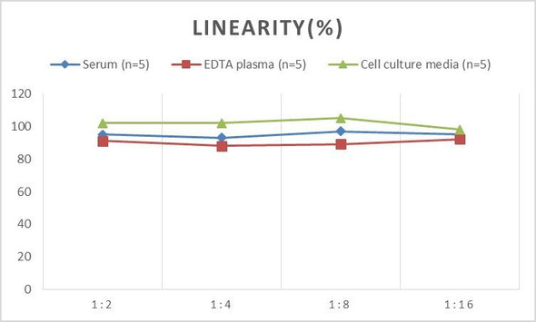 Human MIP-1beta (Macrophage Inflammatory Protein 1 Beta) ELISA Kit (AEES00840)