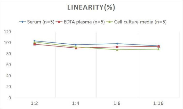 Human IL-1R2 (Interleukin 1 Receptor Type II) ELISA Kit (AEES00844)