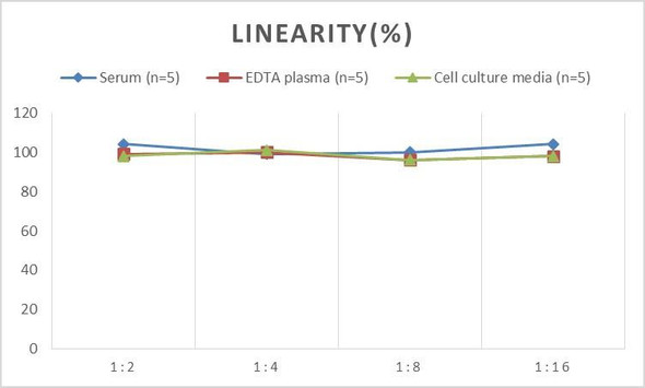 Human CXCL17 (C-X-C motif chemokine 17) ELISA kit (AEES00865)